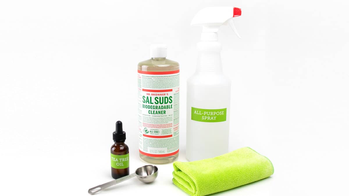 Sal Suds House Cleaner in a Spray Bottle Going Green with Lisa Bronner