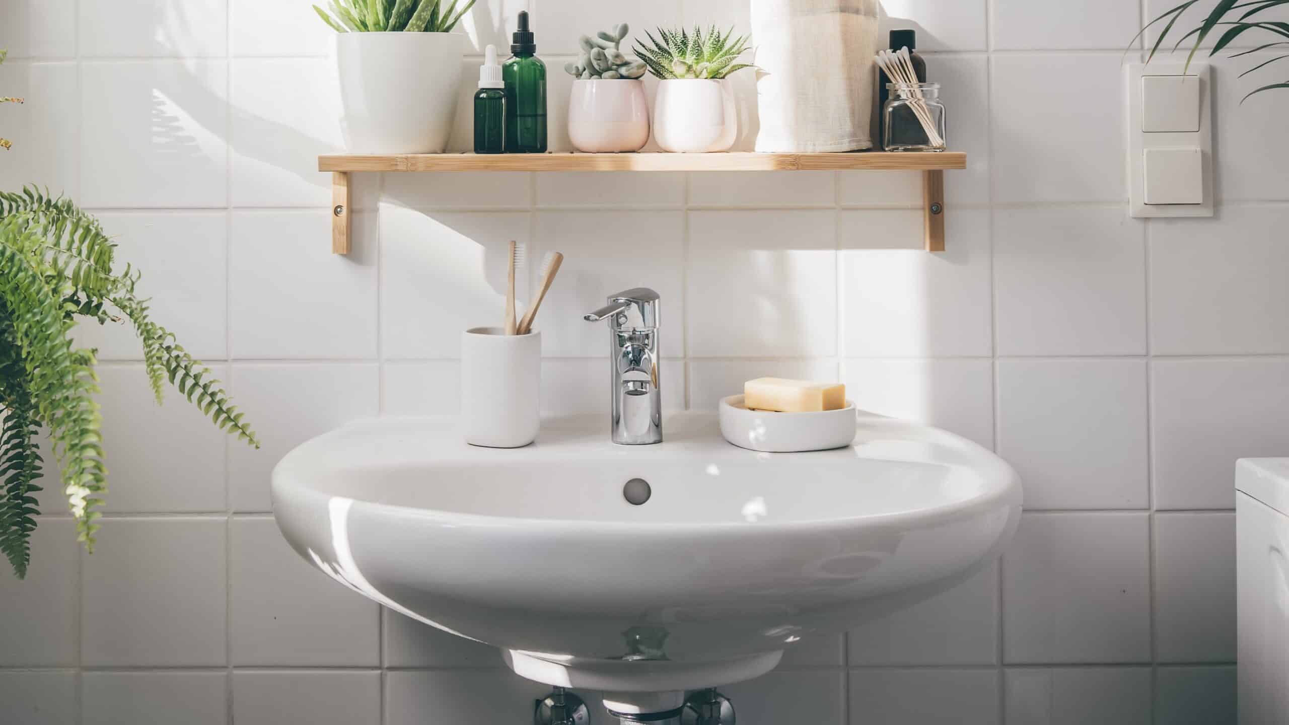 Sink with plants around it.