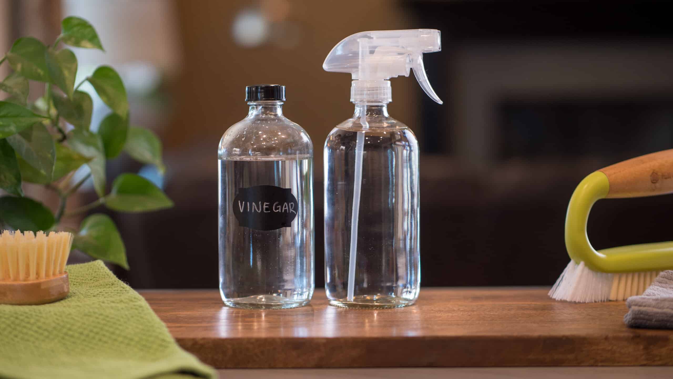 Bottle of water and vinegar on counter.