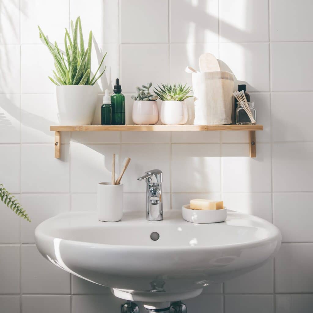 Sink with plants around it.