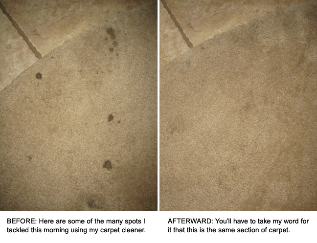 Natural carpet cleaning with Sal Suds