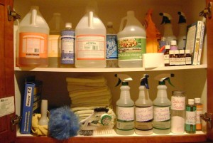 Lisa Bronner's cleaning cabinet