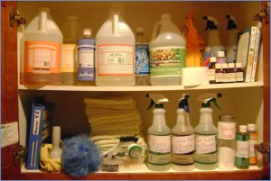 Lisa Bronner's cleaning cabinet