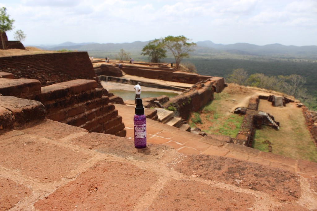 the top of Sri Lankan landmark Sigiriya Dr Bronner Hand Sanitizer. Traveling with Hand Sanitizer