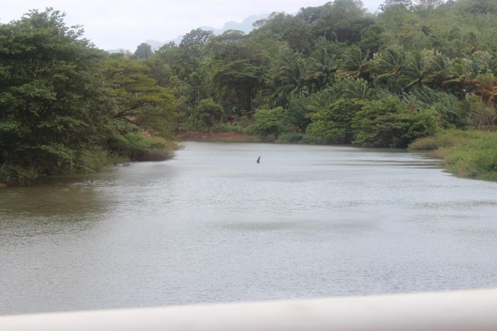 River in Kaliyapitiya