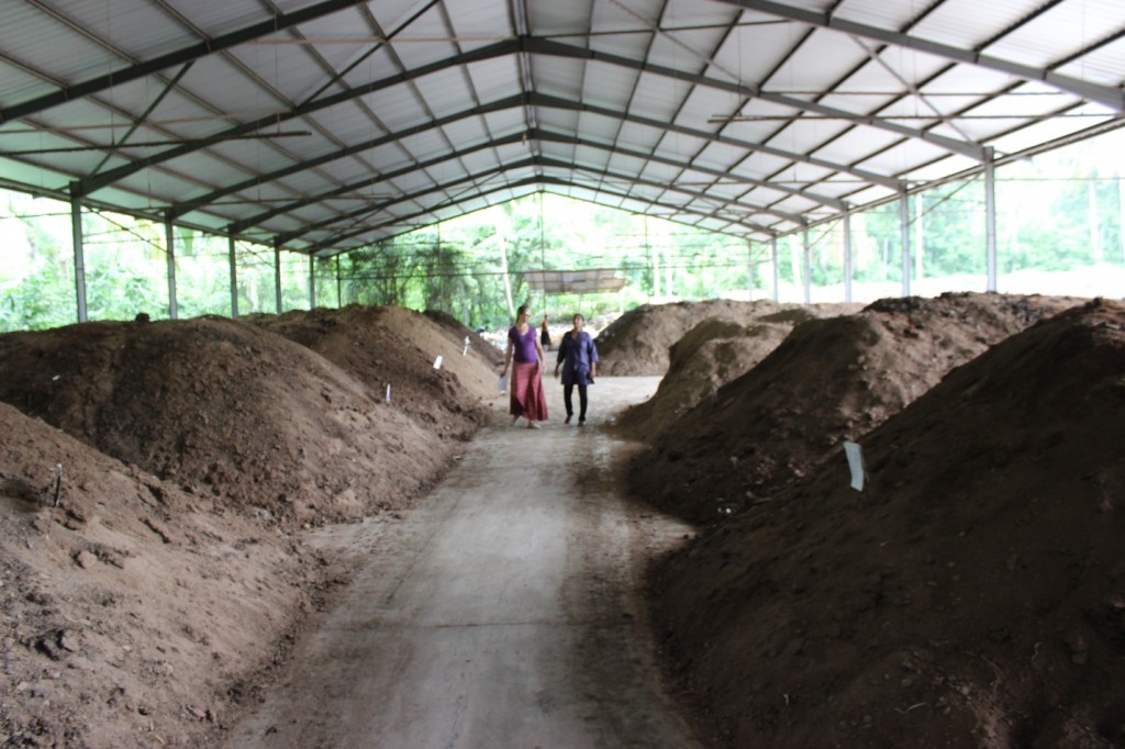 fair trade serendipol compost pile. Fair Trade’s Direct Community Benefit