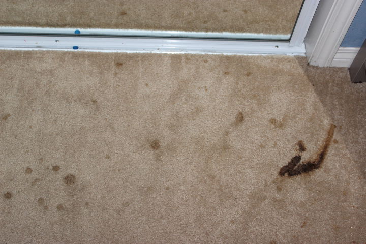 Cleaning Carpet Stains
