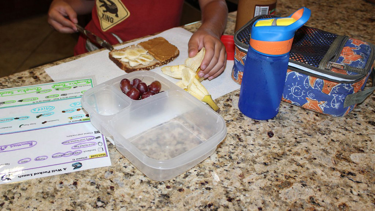 A Well Packed Lunch