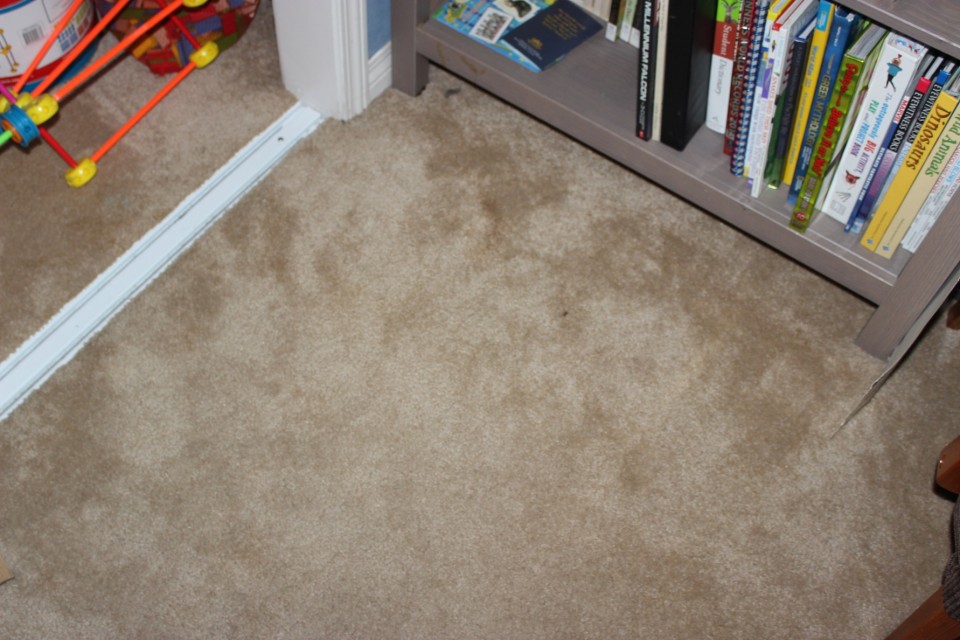 carpet cleaning boys room