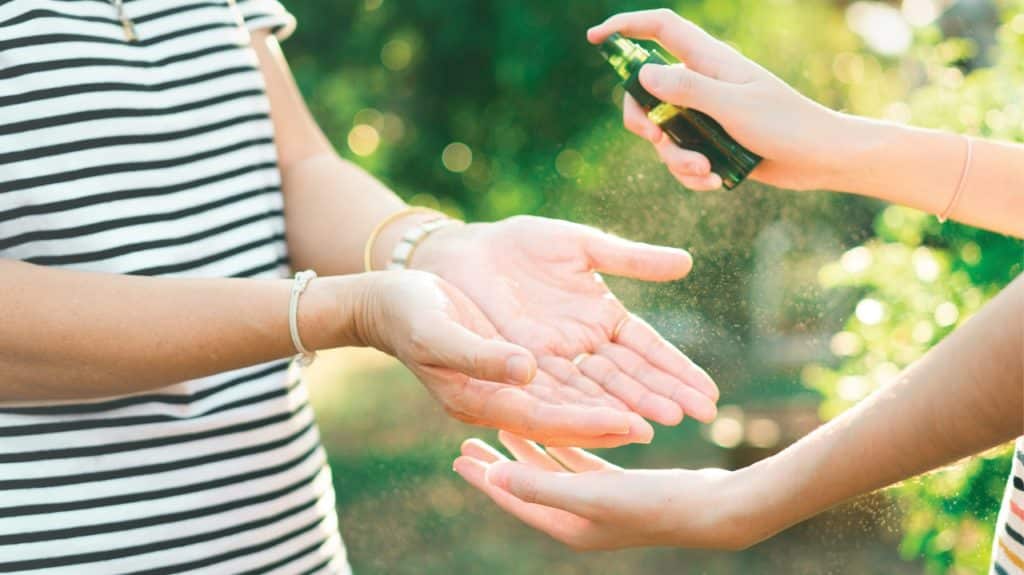 How Hand Sanitizer Works & How To Use It Going Green with Lisa Bronner