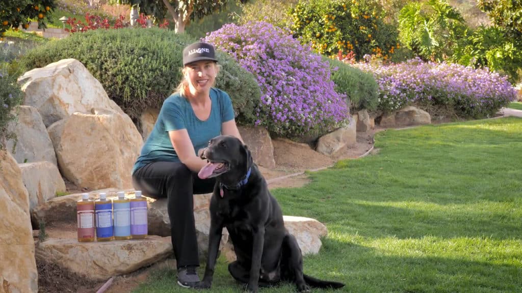 Dog Washing with Dr. Bronner's Soap [Video] Going Green