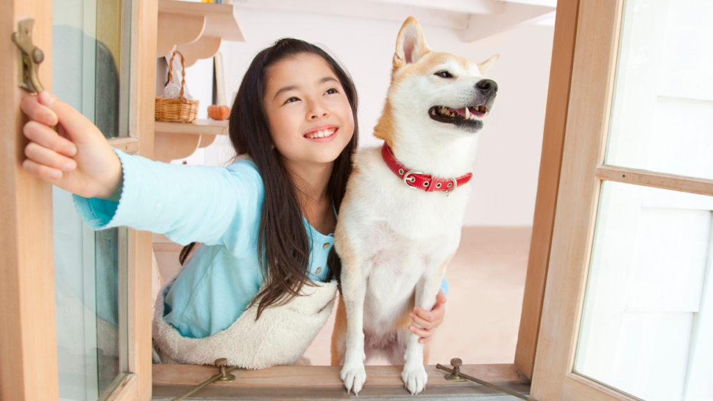 How To Clean Your Indoor Air - girl with dog looking out window
