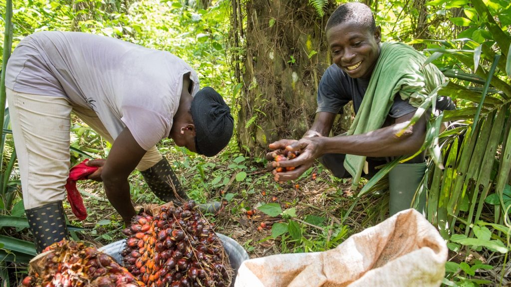 Fair Trade workers in jungle