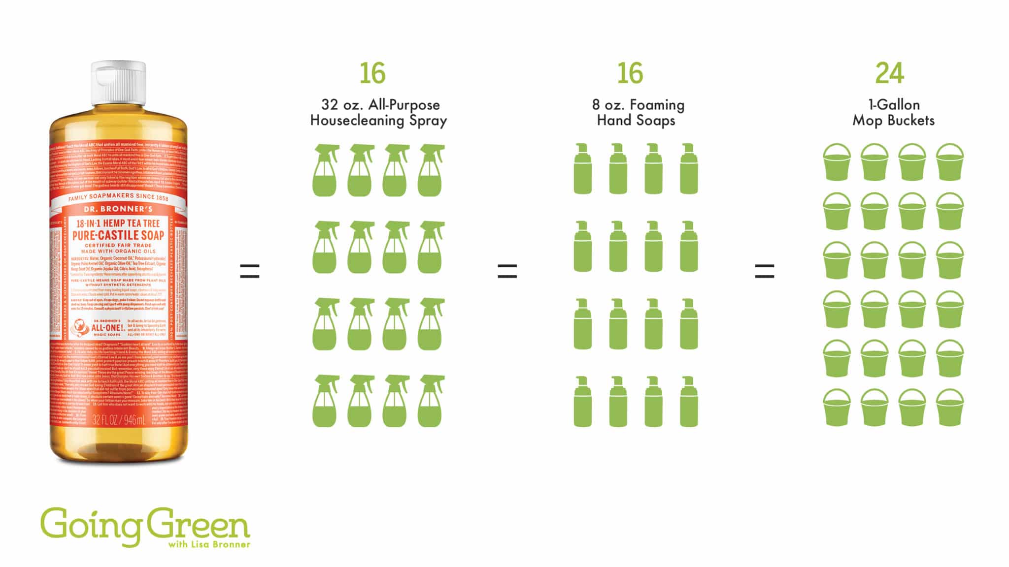 The Low Cost of Green Cleaning Going Green w/Lisa Bronner