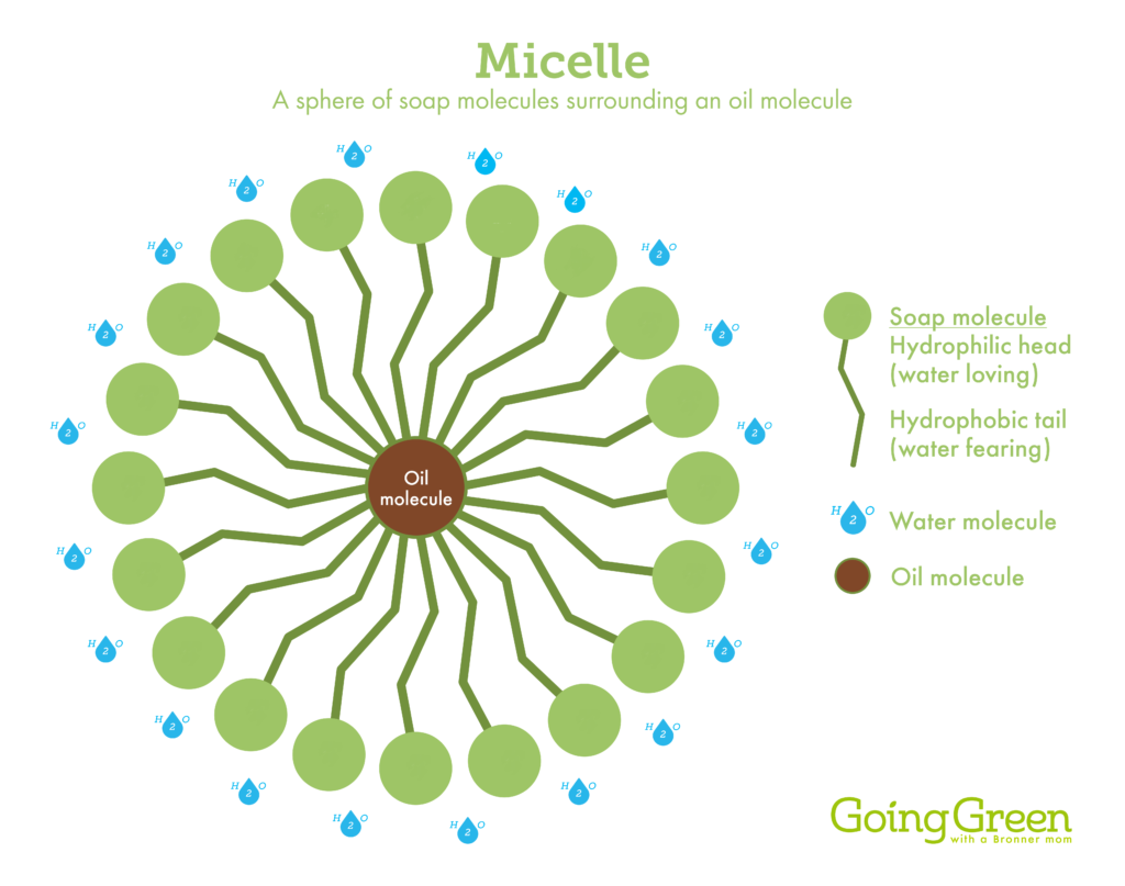 A drawing a micelle, or soap molecules surrounding an oil molecule - essential green cleaning ingredients