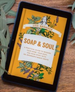 Lisa Bronner's book, Soap & Soul