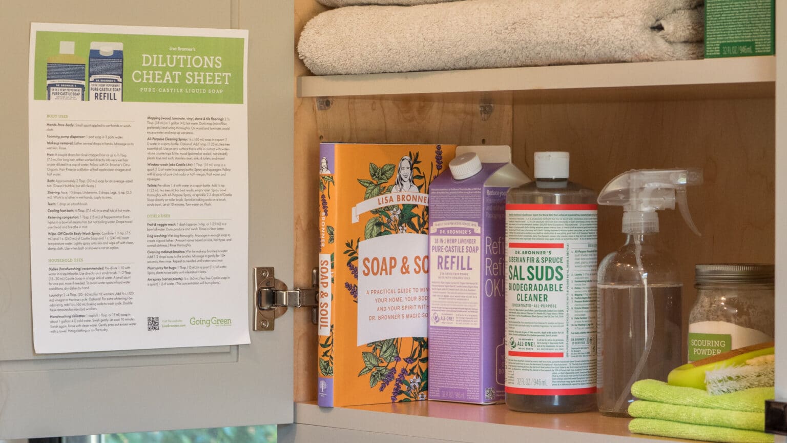 My Top Ten Reasons I Love the New Dr. Bronner’s Refill Carton | Going ...