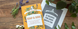 pre-order Lisa Bronner's book, Soap & Soul