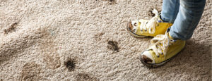 Feet on a muddy carpet.