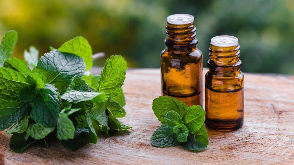 Mint essential oils next to mint plant.