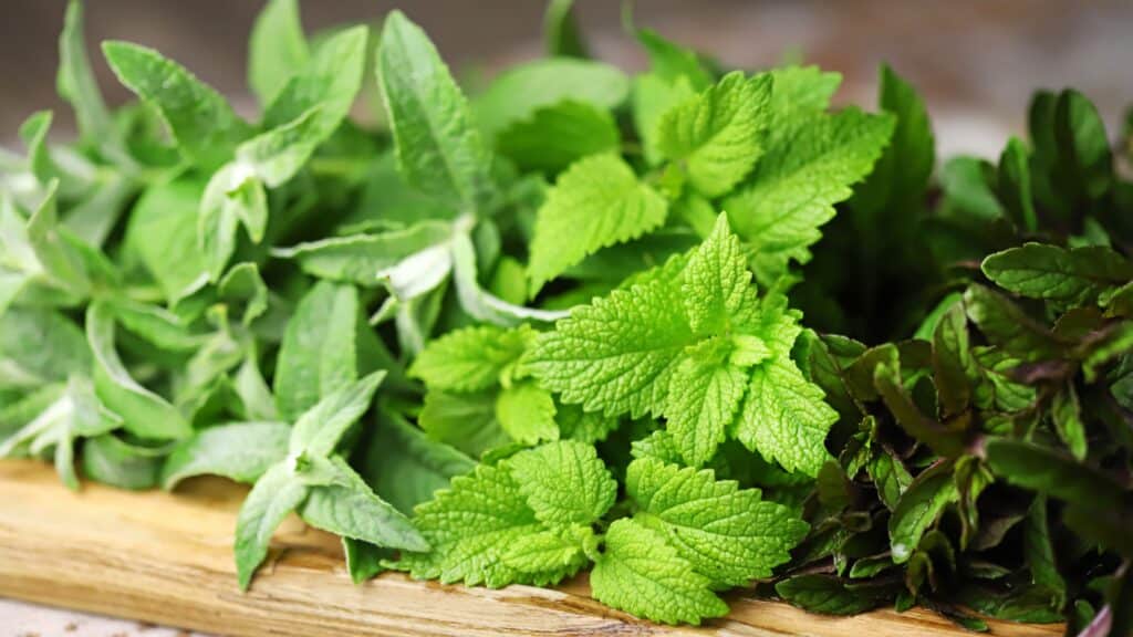 Different varieties of mint on cutting board.