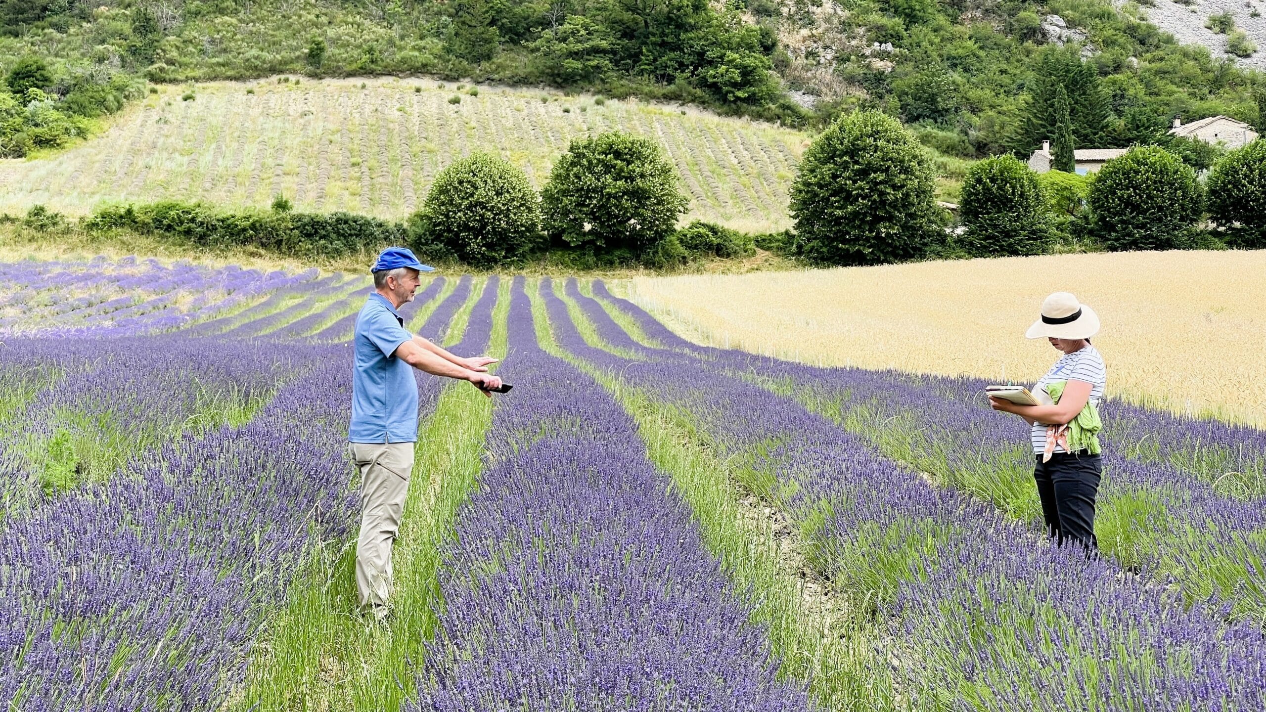 Lisa and Gero standing in a field of Lavender.