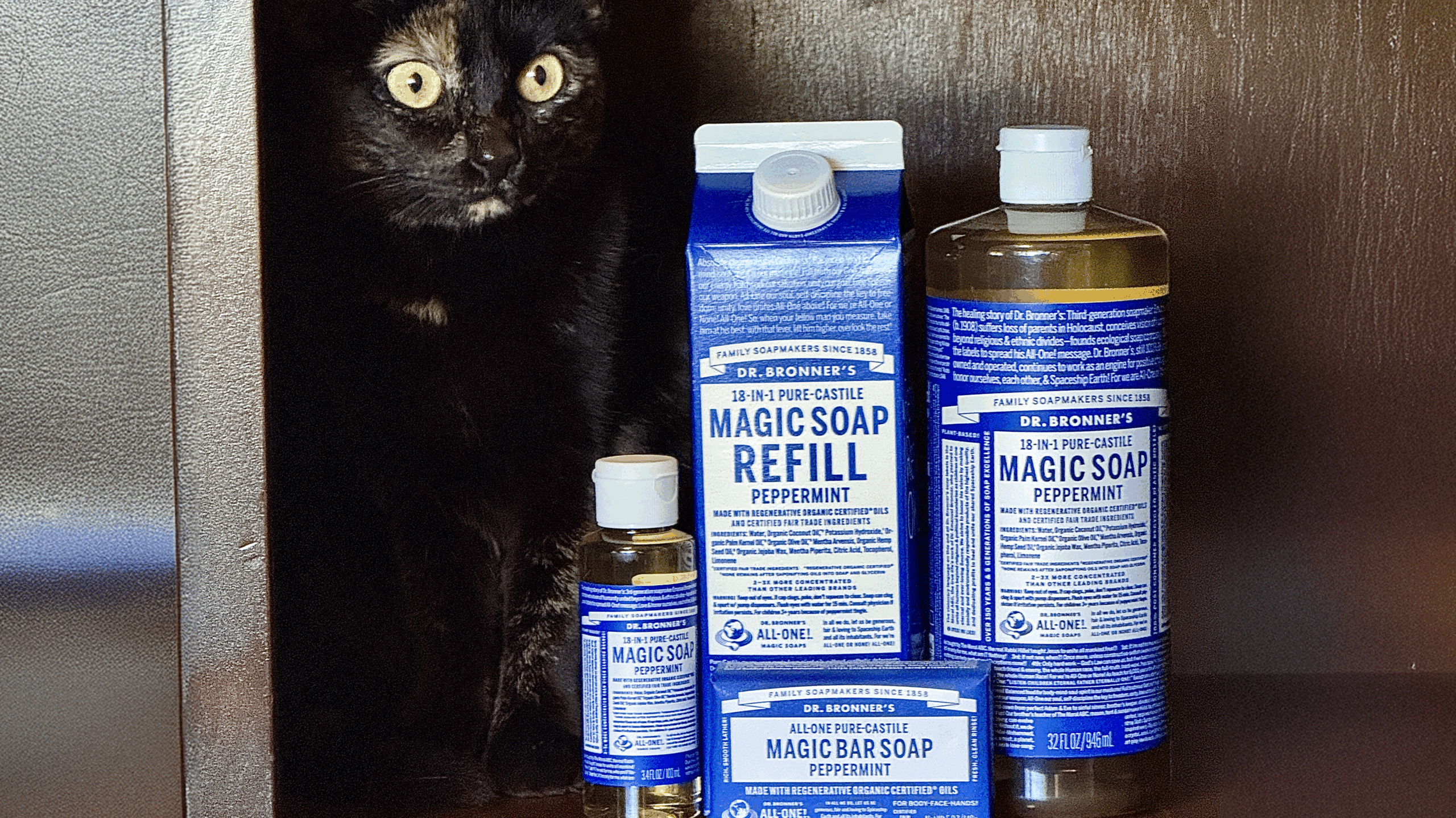 Lisa's cat in the cupboard with Dr. Bronner's soap.